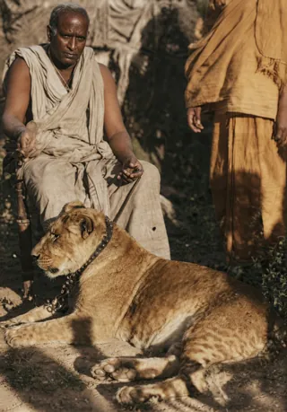 Krishnananda with his tame lioness